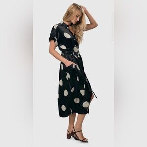 Alembika Moon Dot Dress